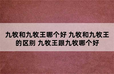 九牧和九牧王哪个好 九牧和九牧王的区别 九牧王跟九牧哪个好